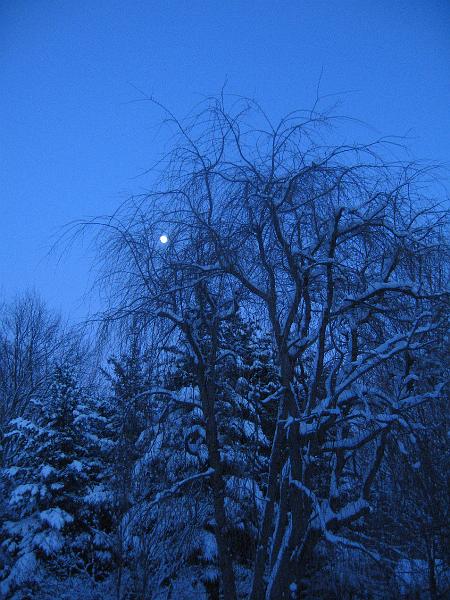 IMG_3496.JPG